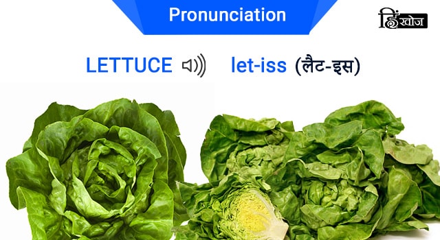 LETTUCE-min