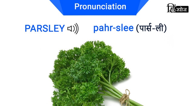 PARSLEY-min (1)