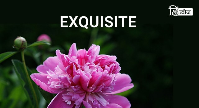 EXQUISITE-min