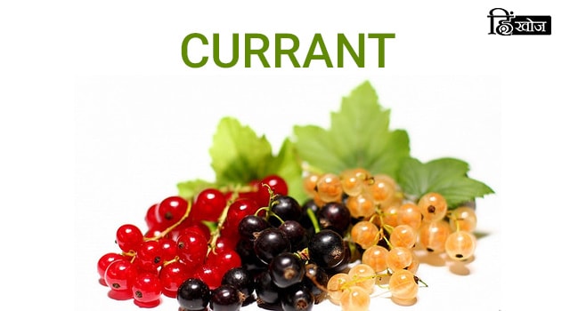 CURRANT-min